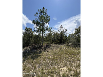 Beautiful, over sized .34/acre high-and-dry/flat lot located in on Sunny Hills Golf and Country Club in Florida - for sale on GolfHomes.com, golf home, golf lot