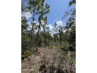 Beautiful, over sized .34/acre high-and-dry/flat lot located in on Sunny Hills Golf and Country Club in Florida - for sale on GolfHomes.com, golf home, golf lot