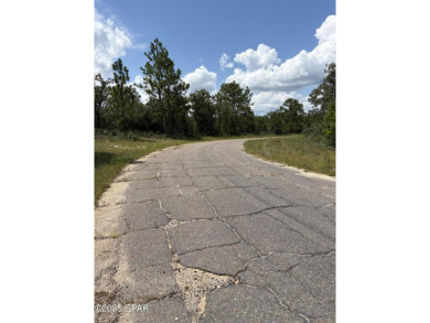 Beautiful, over sized .34/acre high-and-dry/flat lot located in on Sunny Hills Golf and Country Club in Florida - for sale on GolfHomes.com, golf home, golf lot