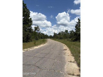 Beautiful, over sized .34/acre high-and-dry/flat lot located in on Sunny Hills Golf and Country Club in Florida - for sale on GolfHomes.com, golf home, golf lot