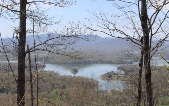 AWESOME LAKE and MOUNTAIN VIEWS! If you are wanting to live in on on The Ridges Country Club in North Carolina - for sale on GolfHomes.com, golf home, golf lot