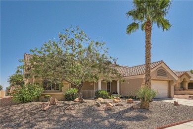 Stunning open floorplan home is completely remodeled & upgraded on Highland Falls Golf Club in Nevada - for sale on GolfHomes.com, golf home, golf lot