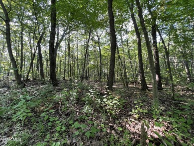 Great building lot at Blue Knob Resort.  Water, Sewer and on Blue Knob Rec Area Golf Course in Pennsylvania - for sale on GolfHomes.com, golf home, golf lot
