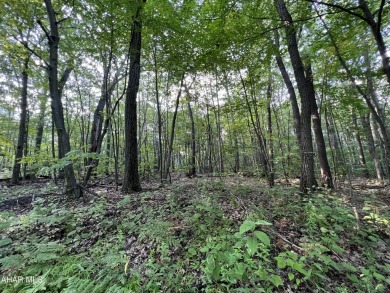 Great building lot at Blue Knob Resort.  Water, Sewer and on Blue Knob Rec Area Golf Course in Pennsylvania - for sale on GolfHomes.com, golf home, golf lot