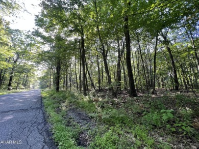 Great building lot at Blue Knob Resort.  Water, Sewer and on Blue Knob Rec Area Golf Course in Pennsylvania - for sale on GolfHomes.com, golf home, golf lot