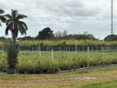 Beautiful 3/2 on 5 Acres with lots of Fruit trees . Back of on Redland Golf and Country Club in Florida - for sale on GolfHomes.com, golf home, golf lot