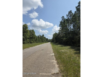 Discover the perfect opportunity to own a spacious 0.69-acre on Sunny Hills Golf and Country Club in Florida - for sale on GolfHomes.com, golf home, golf lot