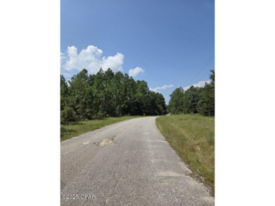Discover the perfect opportunity to own a spacious 0.69-acre on Sunny Hills Golf and Country Club in Florida - for sale on GolfHomes.com, golf home, golf lot