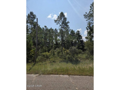 Discover the perfect opportunity to own a spacious 0.69-acre on Sunny Hills Golf and Country Club in Florida - for sale on GolfHomes.com, golf home, golf lot