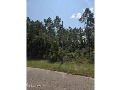 Discover the perfect opportunity to own a spacious 0.69-acre on Sunny Hills Golf and Country Club in Florida - for sale on GolfHomes.com, golf home, golf lot