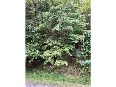 Beautiful building lot offering seasonal lake views in a prime on Lake Mohawk Golf Club in Ohio - for sale on GolfHomes.com, golf home, golf lot