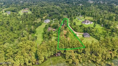 Discover the perfect canvas for your dream home on this 1 on Indian Springs Golf Club in Florida - for sale on GolfHomes.com, golf home, golf lot
