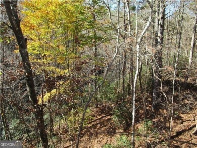 Wonderful opportunity to own a home in the Alpines of Helen! on Innsbruck Resort and Golf Club in Georgia - for sale on GolfHomes.com, golf home, golf lot