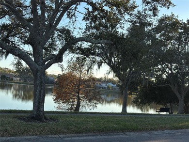 Welcome home to this beautifully maintained pool home in the on Countryway Golf Course in Florida - for sale on GolfHomes.com, golf home, golf lot
