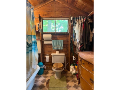 Step back in time with this charming, 100+ year-old seasonal log on Minnesota National Golf Course in Minnesota - for sale on GolfHomes.com, golf home, golf lot
