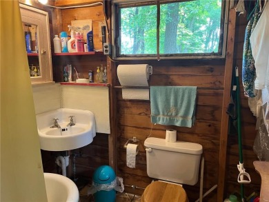 Step back in time with this charming, 100+ year-old seasonal log on Minnesota National Golf Course in Minnesota - for sale on GolfHomes.com, golf home, golf lot