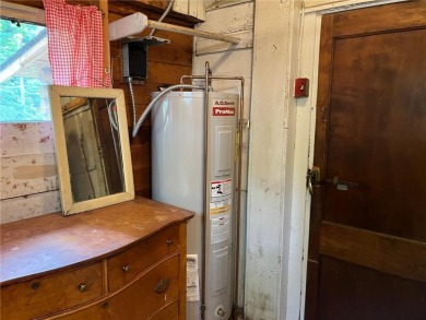 Step back in time with this charming, 100+ year-old seasonal log on Minnesota National Golf Course in Minnesota - for sale on GolfHomes.com, golf home, golf lot