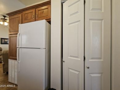 Immaculate 2BD 2BA Split Floor Plan Home. Furnished Inside & on Viewpoint Golf Resort in Arizona - for sale on GolfHomes.com, golf home, golf lot