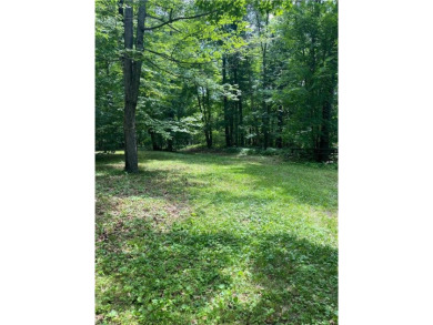 Step back in time with this charming, 100+ year-old seasonal log on Minnesota National Golf Course in Minnesota - for sale on GolfHomes.com, golf home, golf lot