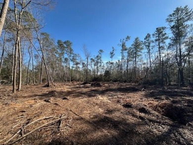 Partially cleared 5.36-acre wooded land ready for development! on Pointe South Golf Club in Georgia - for sale on GolfHomes.com, golf home, golf lot