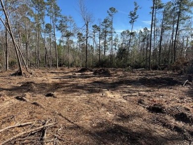 Partially cleared 5.36-acre wooded land ready for development! on Pointe South Golf Club in Georgia - for sale on GolfHomes.com, golf home, golf lot