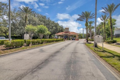 One or more photo(s) has been virtually staged. Spectacular on Ridgewood Lakes Golf and Country Club in Florida - for sale on GolfHomes.com, golf home, golf lot