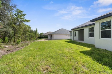 STUNNING, MOVE-IN READY...BRAND NEW HOME! Craftsman-style Luxury on Sugarmill Woods Golf and Country Club in Florida - for sale on GolfHomes.com, golf home, golf lot