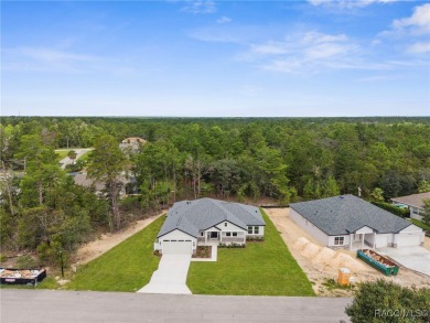 STUNNING, MOVE-IN READY...BRAND NEW HOME! Craftsman-style Luxury on Sugarmill Woods Golf and Country Club in Florida - for sale on GolfHomes.com, golf home, golf lot