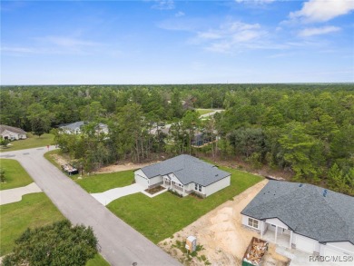 STUNNING, MOVE-IN READY...BRAND NEW HOME! Craftsman-style Luxury on Sugarmill Woods Golf and Country Club in Florida - for sale on GolfHomes.com, golf home, golf lot