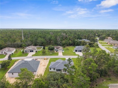 STUNNING, MOVE-IN READY...BRAND NEW HOME! Craftsman-style Luxury on Sugarmill Woods Golf and Country Club in Florida - for sale on GolfHomes.com, golf home, golf lot