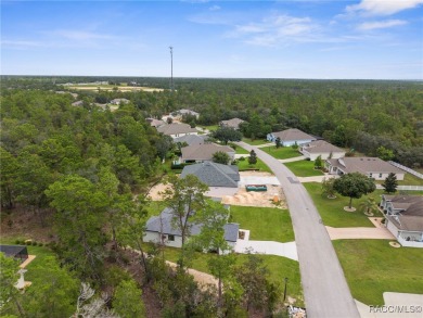 STUNNING, MOVE-IN READY...BRAND NEW HOME! Craftsman-style Luxury on Sugarmill Woods Golf and Country Club in Florida - for sale on GolfHomes.com, golf home, golf lot