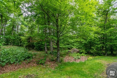 Design your home on this lovely vacant lot located on the on Whiteface Club and Resort in New York - for sale on GolfHomes.com, golf home, golf lot