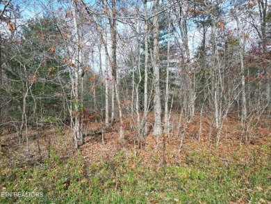 Discover a beautiful wooded lot in Lake Tansi Resort, with on Lake Tansi Village Country Club in Tennessee - for sale on GolfHomes.com, golf home, golf lot