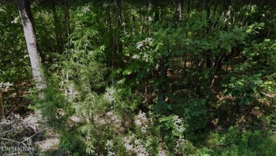 Discover a beautiful wooded lot in Lake Tansi Resort, with on Lake Tansi Village Country Club in Tennessee - for sale on GolfHomes.com, golf home, golf lot