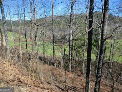 There are amazing views of layered mountains to the east and on Waterfall Country Club in Georgia - for sale on GolfHomes.com, golf home, golf lot