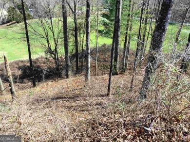 There are amazing views of layered mountains to the east and on Waterfall Country Club in Georgia - for sale on GolfHomes.com, golf home, golf lot