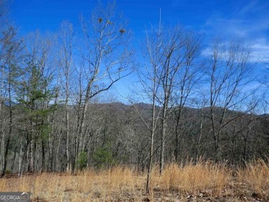 There are amazing views of layered mountains to the east and on Waterfall Country Club in Georgia - for sale on GolfHomes.com, golf home, golf lot