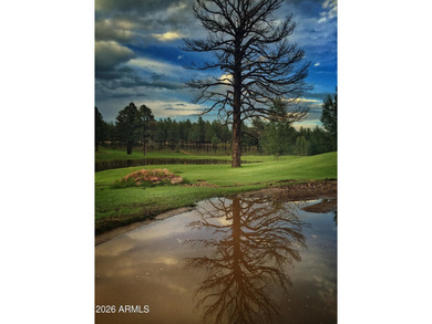 1713 Solitude Ct Flagstaff Arizona 86005 Cozy cabin located on Pine Canyon Golf Course in Arizona - for sale on GolfHomes.com, golf home, golf lot