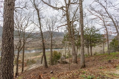 Relax and enjoy the view and great back yard from your large on Pointe Royale Village Country Club in Missouri - for sale on GolfHomes.com, golf home, golf lot