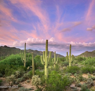 Don't miss out on this spacious Mesquite home nestled at the on The Ritz Carlton Golf Club, Dove Mountain  in Arizona - for sale on GolfHomes.com, golf home, golf lot