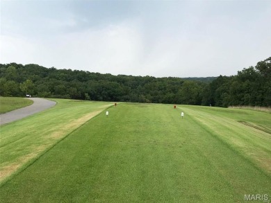 Lake Front Lot on Almost 1/2 Acre Lot on Small Private Lake on Raintree Country Club in Missouri - for sale on GolfHomes.com, golf home, golf lot