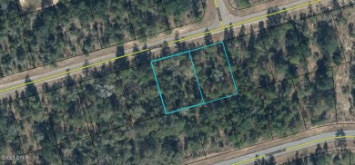 Seize the opportunity to own two side-by-side lots totaling 0 on Sunny Hills Golf and Country Club in Florida - for sale on GolfHomes.com, golf home, golf lot