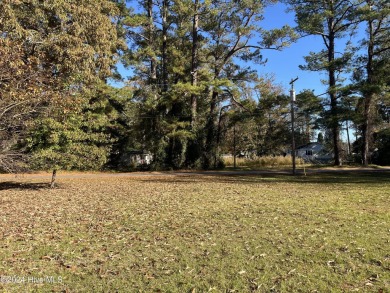 The perfect place to put a tiny house, single wide or camper on Bayview Golf Course in North Carolina - for sale on GolfHomes.com, golf home, golf lot