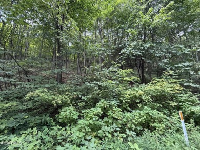 Great building lot at Blue Knob Resort.  Water, Sewer and on Blue Knob Rec Area Golf Course in Pennsylvania - for sale on GolfHomes.com, golf home, golf lot
