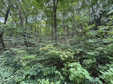 Great building lot at Blue Knob Resort.  Water, Sewer and on Blue Knob Rec Area Golf Course in Pennsylvania - for sale on GolfHomes.com, golf home, golf lot