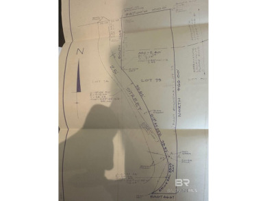 This vacant lot is located just 1100 feet from the Gulf of on The Golf Club of the Wharf in Alabama - for sale on GolfHomes.com, golf home, golf lot
