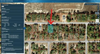 This lot is primed and ready for you to build your dream home in on Citrus Springs Country Club in Florida - for sale on GolfHomes.com, golf home, golf lot