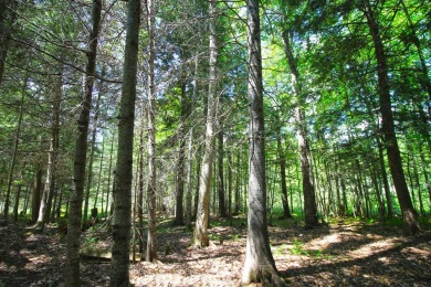PRICE REDUCED!! This wooded, peaceful lot, set et on 1.12 level on Inlet Golf Club in New York - for sale on GolfHomes.com, golf home, golf lot