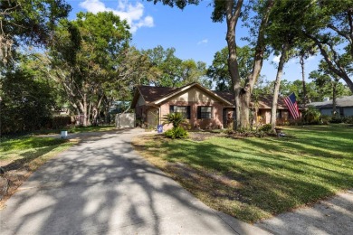 Welcome to one of Valrico's premier subdivisions--CHELSEA WOODS on Buckhorn Springs Golf and Country Club in Florida - for sale on GolfHomes.com, golf home, golf lot