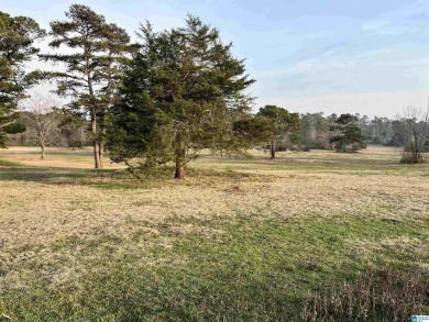 Looking for acreage in a great location, this 9.43 acre m/l on Pine Harbor Golf and Racquet Club in Alabama - for sale on GolfHomes.com, golf home, golf lot